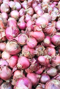 Taze Kırmızı Soğan Yığını Yerel Pazar Üretimi