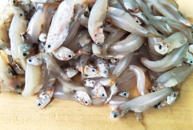 Çiğ Gümüş Balık Yığını Yakın plan