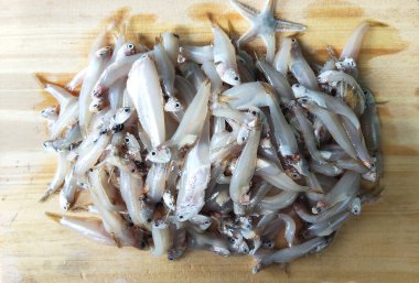 Minik Balık Pişirmeye Hazır, Deniz Ürünleri Lezzeti