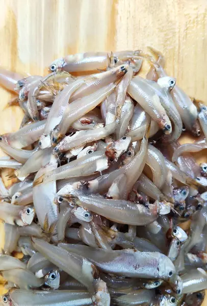 İşlenmemiş Gümüş Balık, Sağlıklı Besin Kaynağı