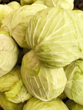 Marketten taze toplanmış yeşil lahana.