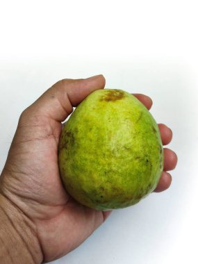 El ele tutuşmak Sulu Guava Atıştırmalık olarak yenmeye hazır