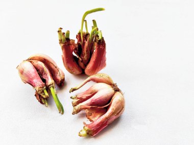 Temiz beyaz arka planda lahanaları olan taze Endonezya arpacık soğanları. Yemek, yemek ve sağlıkla ilgili projeler için mükemmel..