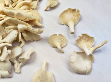 Eşsiz doku ve şekillere sahip taze organik istiridye mantarlarının yüksek anahtarlı bir fotoğrafı. Gıda, sağlık ve aşçılık projeleri için mükemmel.