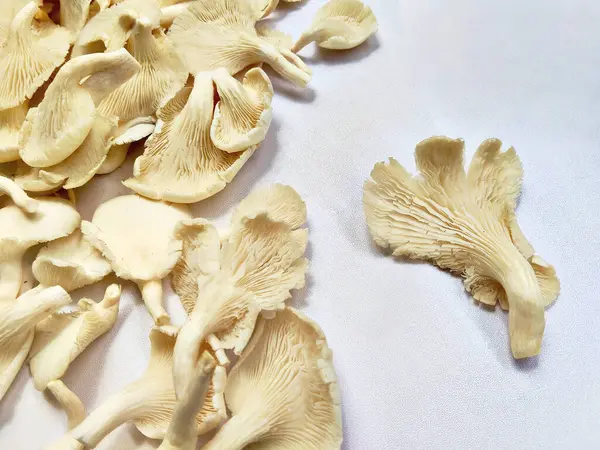 Eşsiz doku ve şekillere sahip taze organik istiridye mantarlarının yüksek anahtarlı bir fotoğrafı. Gıda, sağlık ve aşçılık projeleri için mükemmel.