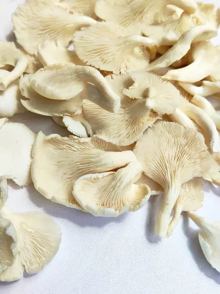 Eşsiz doku ve şekillere sahip taze organik istiridye mantarlarının yüksek anahtarlı bir fotoğrafı. Gıda, sağlık ve aşçılık projeleri için mükemmel.