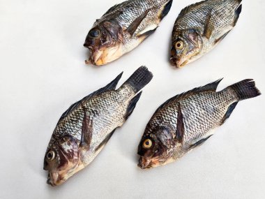 Dört taze tilapia balığının yakın plan çekimi beyaz bir zemin üzerine serilmiş, eşsiz dokusunu vurguluyor, sağlıklı bir deniz ürünleri seçeneği..