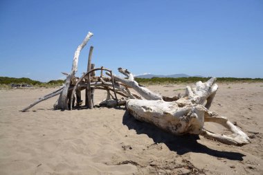 Yıkanmış odunlar, İtalya 'da Marina di Grosseto yakınlarındaki kumsalda rüzgar ve güneşe karşı ahşap barınaklar inşa edilirdi.