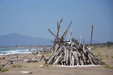 Washed up wood used to build wooden shelters against wind and sun on the beach near Marina di Grosseto, Tuscany, Italy clipart