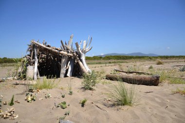 Yıkanmış odunlar, İtalya 'da Marina di Grosseto yakınlarındaki kumsalda rüzgar ve güneşe karşı ahşap barınaklar inşa edilirdi.