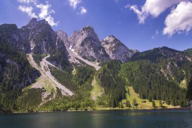 Gosau, Avusturya yakınlarındaki Vorderer Gosausee gölünün kıyılarında güzel bir doğa, güneşli bir yaz günü.