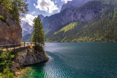 Gosau, Avusturya yakınlarındaki Vorderer Gosausee gölünün kıyılarında güzel bir doğa, güneşli bir yaz günü.