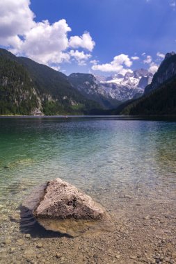 Gosau, Avusturya yakınlarındaki Vorderer Gosausee gölünün kıyılarında güzel bir doğa, güneşli bir yaz günü.