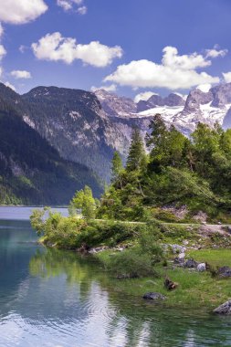 Gosau, Avusturya yakınlarındaki Vorderer Gosausee gölünün kıyılarında güzel bir doğa, güneşli bir yaz günü.