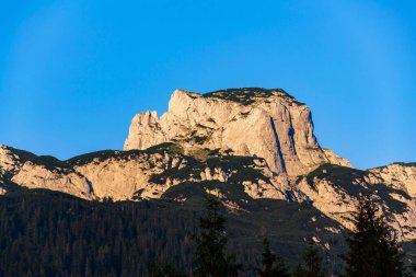 Angerstein Dağı Zirvesi yolu, Alpler, Gosau, Gmunden Bölgesi, Yukarı Avusturya Federal Eyaleti, güneşli yaz günü, açık mavi gökyüzü