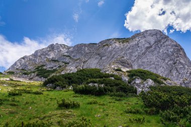 Angerstein Dağı Zirvesi yolu, Alpler, Gosau, Gmunden Bölgesi, Yukarı Avusturya Federal Eyaleti, güneşli yaz günü, açık mavi gökyüzü