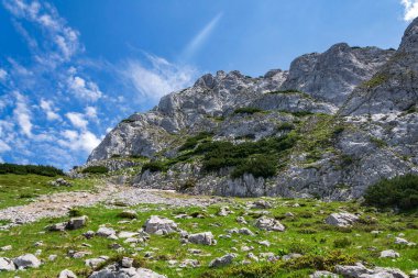 Angerstein Dağı Zirvesi yolu, Alpler, Gosau, Gmunden Bölgesi, Yukarı Avusturya Federal Eyaleti, güneşli yaz günü, açık mavi gökyüzü