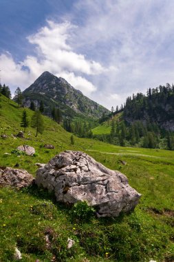 Alps, Gosau 'daki Donnerkogel Dağı, Gmunden Bölgesi, Yukarı Avusturya Federal Eyaleti, güneşli yaz günü