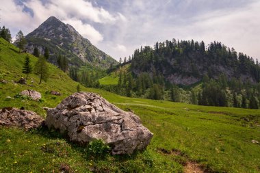 Donnerkogel Mountain in Alps, Gosau, Gmunden district, Upper Austria federal state, sunny summer day clipart