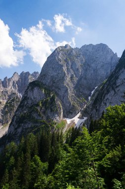 Alps, Gosau 'daki Donnerkogel Dağı, Gmunden Bölgesi, Yukarı Avusturya Federal Eyaleti, güneşli yaz günü