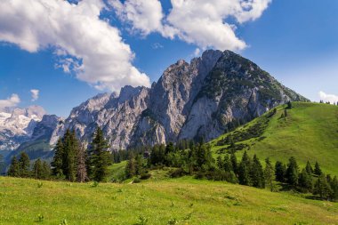 Donnerkogel Mountain in Alps, Gosau, Gmunden district, Upper Austria federal state, sunny summer day clipart