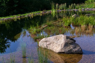 Doğal yüzme havuzu ya da doğal yüzme havuzu - NSP - biyolojik filtreler ve bitkiler aracılığıyla kimyasallar olmadan suyu arıtır