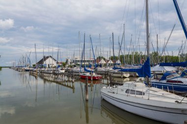 Neusiedl Gölü kıyılarına demir atmış tekneler 18 Ağustos 2020 'de Morbisch am See, Avusturya.