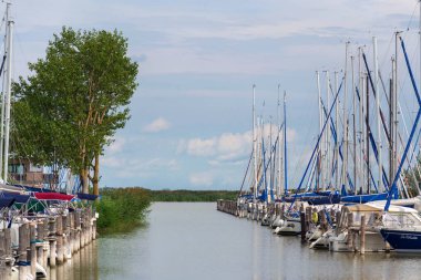 Neusiedl Gölü kıyılarına demir atmış tekneler 18 Ağustos 2020 'de Morbisch am See, Avusturya.
