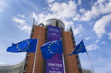 20 Mayıs 2025 'te Belçika' nın Brrussels kentinde Avrupa Komisyonu genel merkezinin önünde AB bayraklarını sallayan.
