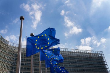 Avrupa Komisyonu 'nun Brüksel, Belçika merkezinin önünde AB bayrakları sallayan