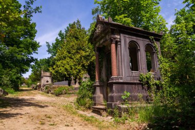 Terk edilmiş Dieweg mezarlığı Brüksel, Belçika 'da güneşli bir günde doğa tarafından ele geçirildi.