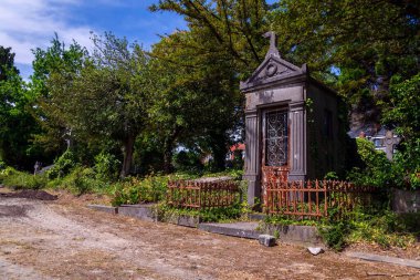 Terk edilmiş Dieweg mezarlığı Brüksel, Belçika 'da güneşli bir günde doğa tarafından ele geçirildi.