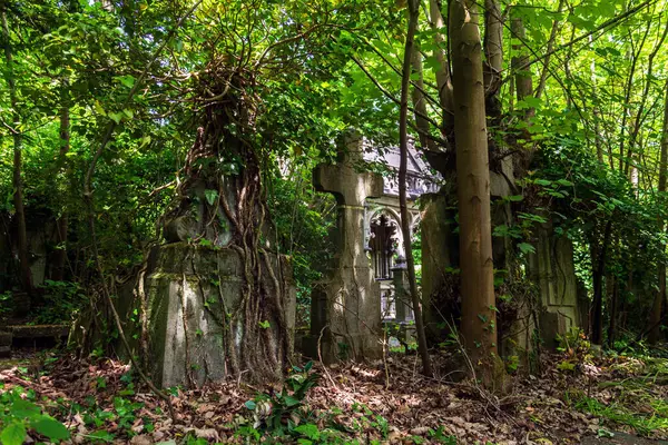 Terk edilmiş Dieweg mezarlığı Brüksel, Belçika 'da güneşli bir günde doğa tarafından ele geçirildi.