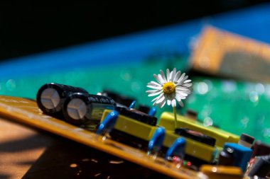 Bilgisayar anakartından büyüyen bir papatya, yapay zeka kavramına göre enerji tüketimi, çevresel etkiler.