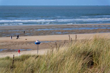 Kum tepelerinin yakınındaki güzel kumsaldaki insanlar Batı Flanders, güneşli yaz günü 23 Mayıs 2025, De Haan, Belçika.