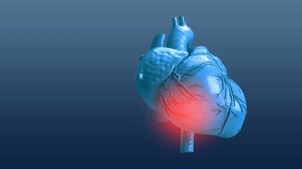 stock image  Heart disease attack red dot problem medical treatment health care cardiology illness sick pain heartbeat doctor nurse technology blue element futurist human body part touchscreen patient stress