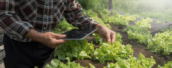 采用石板农业现代科技对农民进行质检 农业中使用现代技术的概念 拥有数字平板电脑的男性农艺师农民 — 图库照片