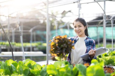 Asian female gardener in agriculture industry. Women farmer use clickboard for working and care vegetable or nursery small plants Hydroponic organic in greenhouse. Hydroponic agricultural system..