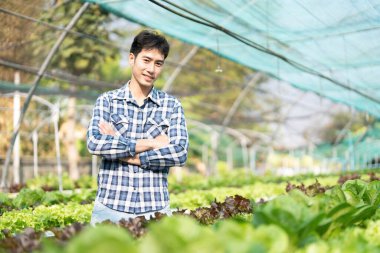 Hidrofonik sebze konsepti, hidroponik salata çiftliğinde kolları çapraz duran genç Asyalı adam....
