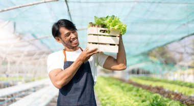 asian young friendly man farmer smiling and holding organic hydroponic fresh green vegetables produce wooden box together in greenhouse garden nursery farm, business farmer and healthy food concept..