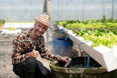 Hidroponik sebze bahçesinin sahibi sebzelerin kalitesini kontrol ediyor ve bahçedeki sebzelerin, seradaki sebzelerin büyümesini kontrol ediyor veya kaydediyor....