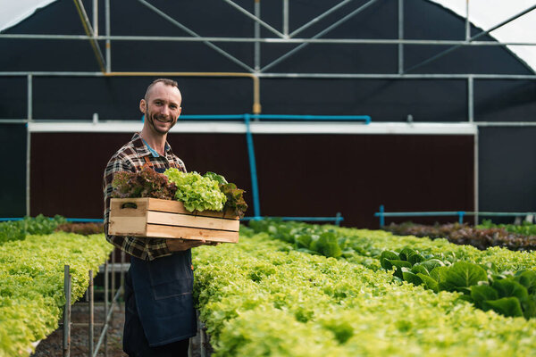 Владелец гидропоники овощной огород проверяет качество овощей и проверяет или регистрирует рост овощей в огороде, овощей в теплице...
