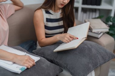 İki genç bayan arkadaş bir kanepede birlikte oturur, online çalışır ve ödev yapar, işbirlikçi ve destekleyici bir öğrenme ortamı oluştururlar..