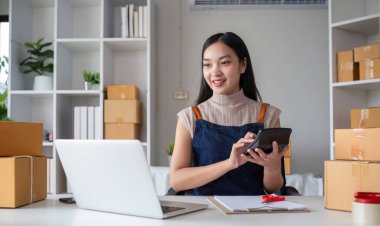 Modern bir ofis ortamında dizüstü bilgisayar ve hesap makinesi kullanarak çevrimiçi satış işlerinde çalışan genç bir bayan işadamı..