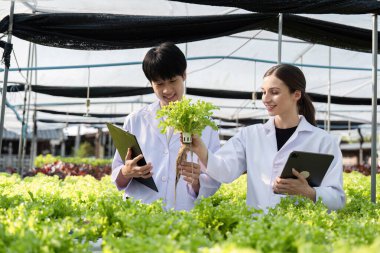 Laboratuvar önlüklü iki araştırmacı modern bir serada tarım araştırması yapıyor, taze ürünleri inceliyor ve dijital tabletler kullanıyorlar..