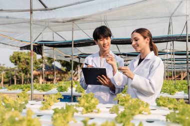 Sebze bahçesinde kimyasal analiz üzerinde çalışan laboratuvar önlüklü bir araştırma ekibi sürdürülebilir tarım ve ürün geliştirmeye odaklanıyor..