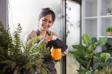 Kapalı alandaki bitkilerle ilgilenen bir kadın modern evinde huzurlu ve yeşil bir ortam yaratıyor..