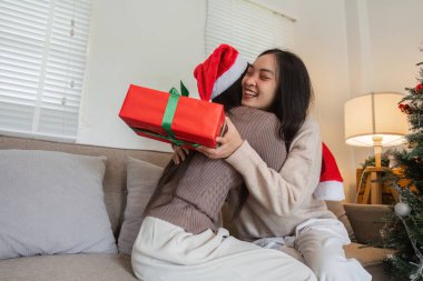 İki genç kadın Noel 'i sevinçle kutluyor. Keyifli neşe dolu bir ev ortamında hediyelerini değiş tokuş ediyorlar..