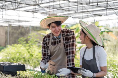 Serada bitki ve kenevir yetiştiren neşeli bir çift, takım çalışması ve sürdürülebilir bahçe işleri sergiliyor..
