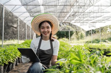 Genç bir kadın, sürdürülebilir tarım uygulamaları sergileyen bir serada bitki yetiştirmek için modern teknolojiyi kullanıyor..